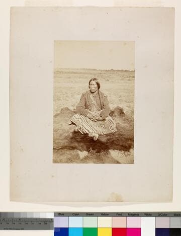 View of a Native American scout