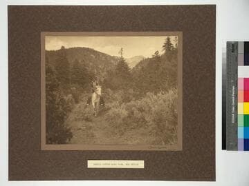 Canyon Lucero. Near Taos