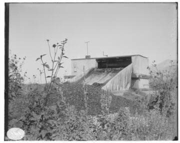 An automatic leaf rake in the flow-