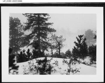 Snowstorm at Vermejo Ranch