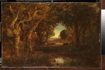 Sunset Landscape with Trees