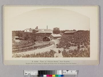 View at "Sunny Slope," San Gabriel