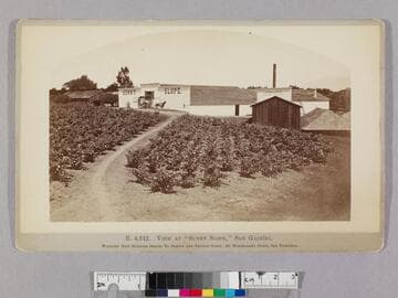 View at "Sunny Slope," San Gabriel