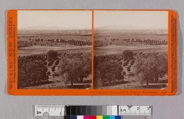 View from Lake Vineyard, B. D. Wilson's, San Gabriel