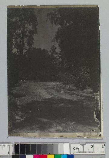 From entrance, Channing place Pasadena