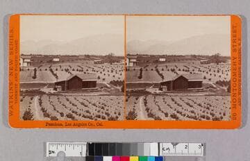 Pasadena, Los Angeles Co., Cal