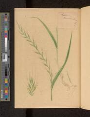 Go to image 101.
