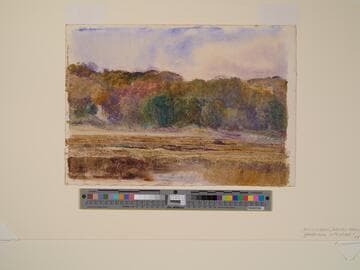 Landscape with Sheep