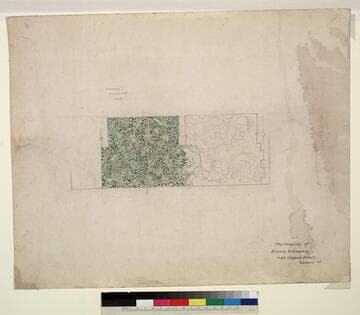 Design for Painted Decoration