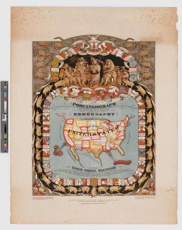Porcineograph ... gehography [sic] of the United States