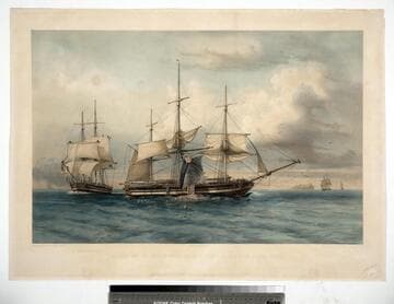 A ship on the north-west coast cutting in her last right whale