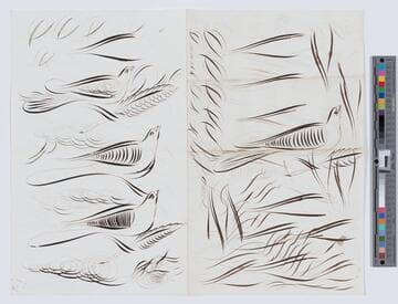 [Paper with drawings of ornamental penmanship birds, feathers, and signatures]