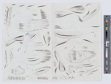 [Paper with drawings of ornamental penmanship birds, feathers, and letters]