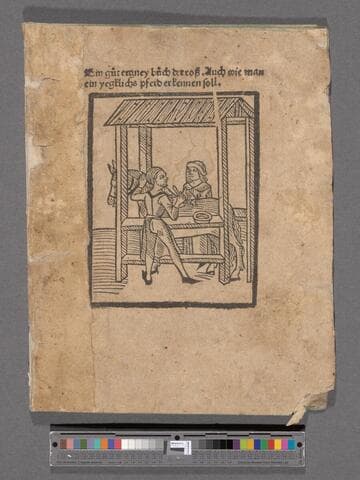 Ein güt ertzney büch der ross. : Auch wie man ein yegklichs pferd erkennen soll