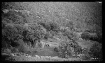 Big Creek Powerhouse #4