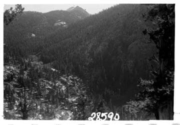 Big Creek, Fish Valley