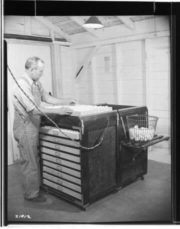 P2 - Poultry - Poultry Book