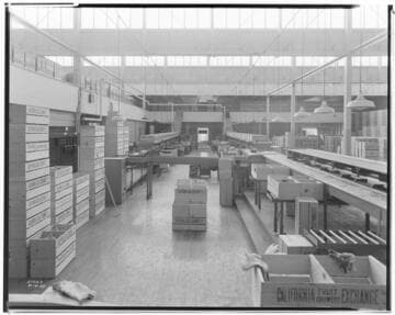 L1.8 - Lighting, Packing Plants