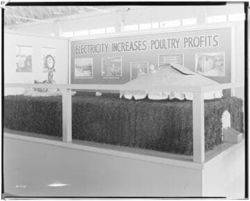 D2.4 - Displays, Fairs - Pomona Fair exhibits