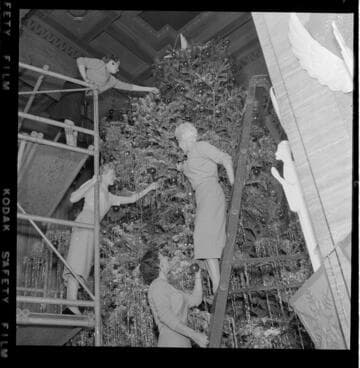 Four ladies on scaffolding and ladders decorating Christmas Tree in General Office lobby