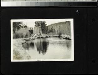 Go to image 6.