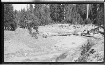 Stream in the forest