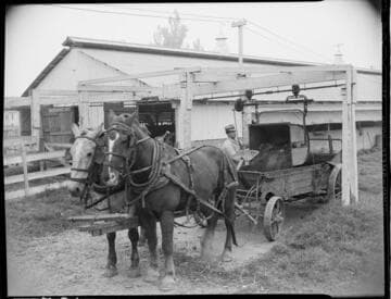 Dairy Booklet photos