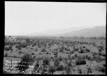 Borel : Sumner Ranch