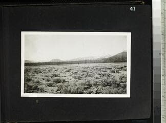 Go to image 49.