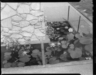 Go to image 1.