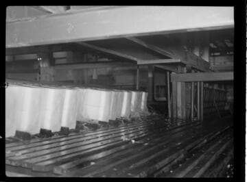 Imperial Ice Plant interior