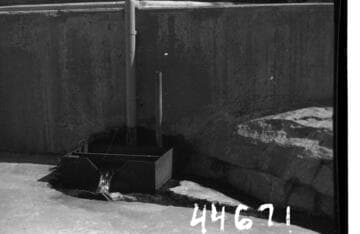 Big Creek, Huntington Lake Dams - Dam #7