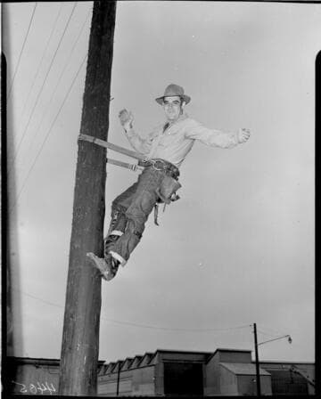 Lineman on pole