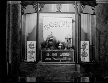 Lobby Windows: Jungle Scene