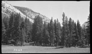 Fish Valley