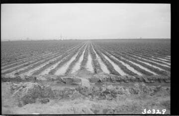Vincent Transmission Line
