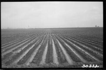 Vincent Transmission Line