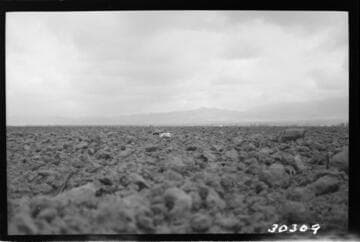 Vincent Transmission Line