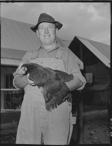 Prickett Poultry Ranch