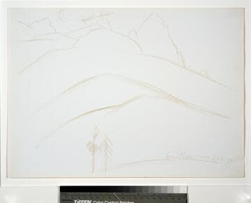 Mountain Landscape with Two Pine Trees