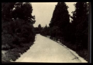Dirt road on the San Marino ranch