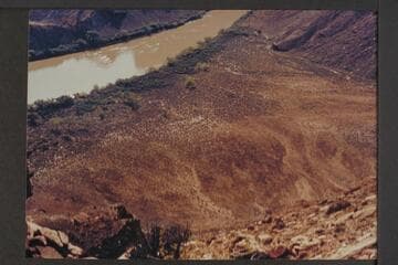 Down to Spanish Bottom from Doll House