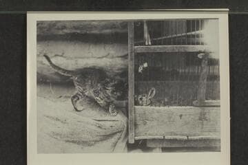 From U. S. Geological survey?