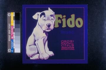 Fido brand