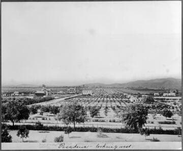 Pasadena, Colorado St. looking West