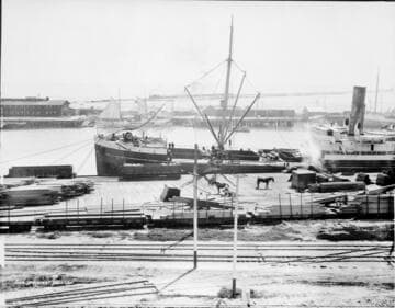 San Pedro Harbor and Terminal Island