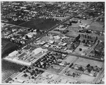 Hollywood Fox Studios