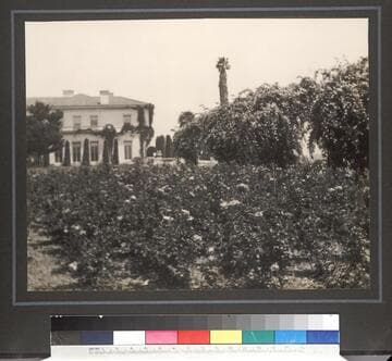 Rose garden and residence, circa 1918