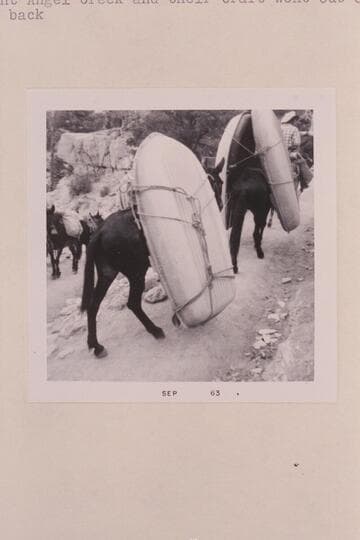 The Sportyaks riding out the Kaibab Trail. Clif, Robin and Tick Segerblom left the party at Bright Angel Creek and their craft went out on mule back