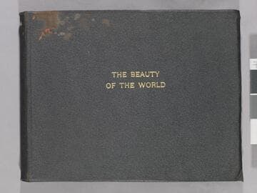 The beauty of the world